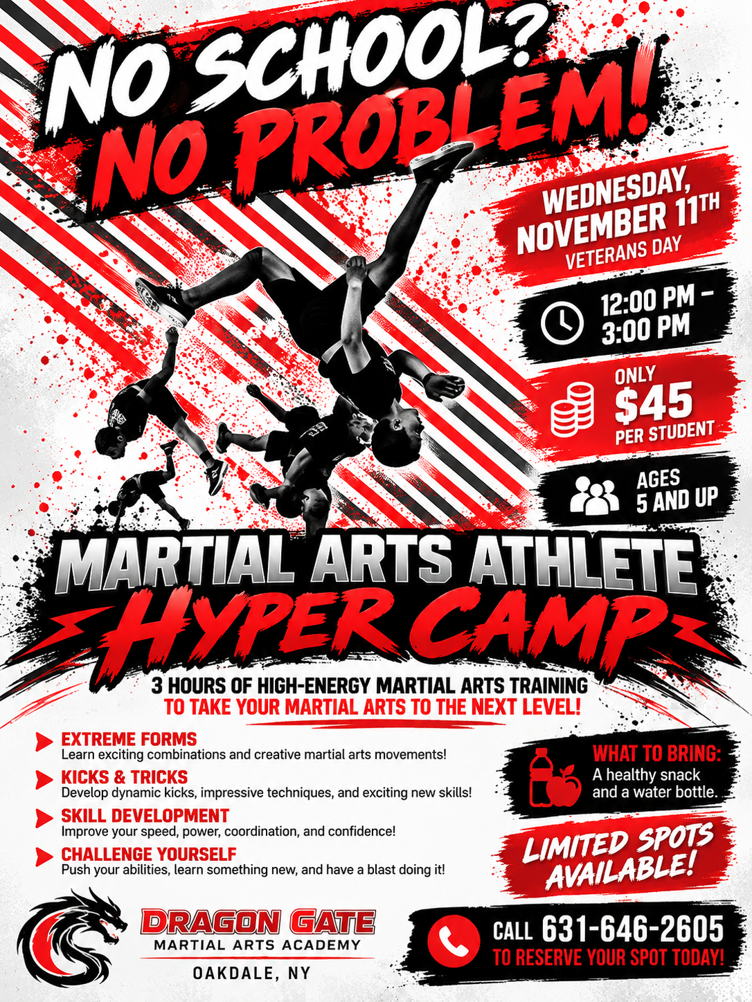 Hyper Martial Arts Day Camp flyer